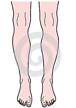Human legs seen from the front